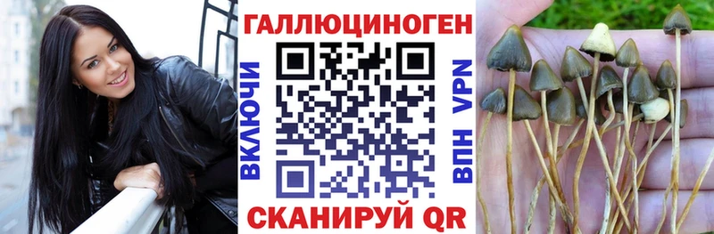 Галлюциногенные грибы прущие грибы Купить Курильск